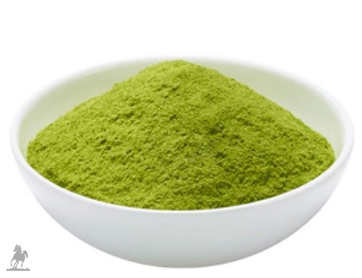 Moringa powder