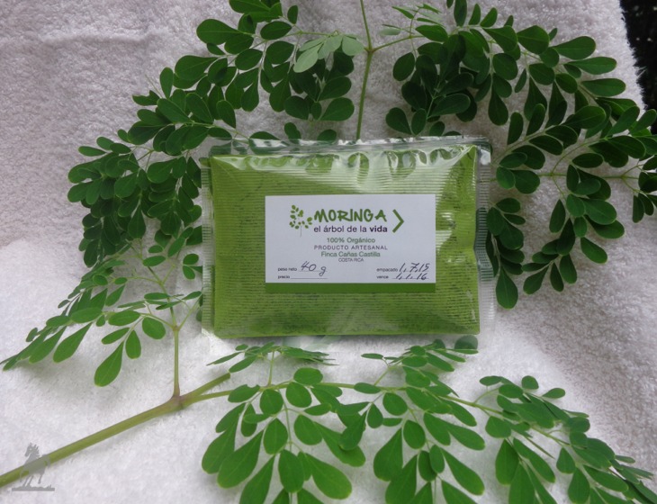 Moringa powder