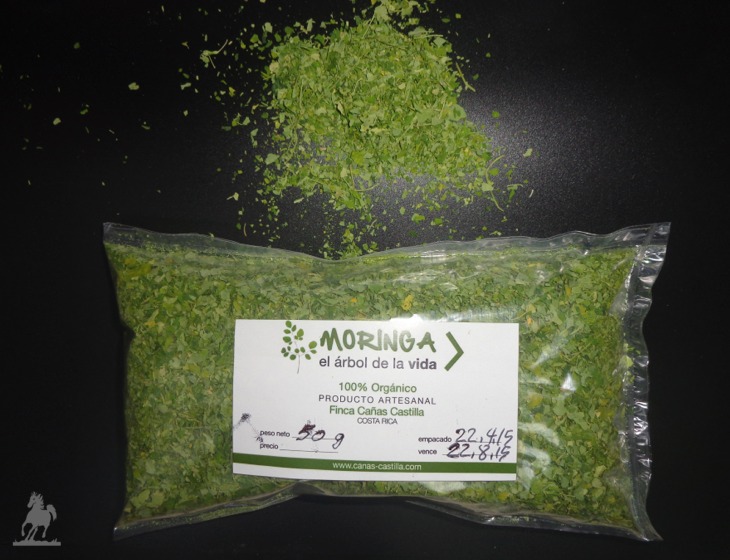 Moringa tea